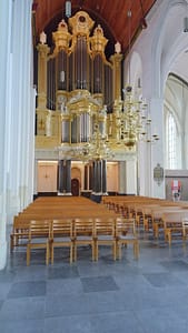 Leukermeer - Plasmolen