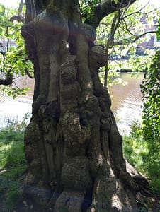 Leiden - Gouda