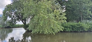 Deinze - Gent