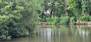 Deinze - Gent