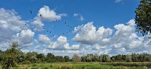 Leukermeer - Cuijk