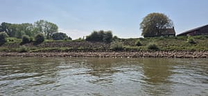 Plasmolen - Rheden