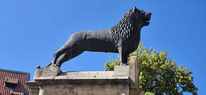 Wittingen - Braunschweig