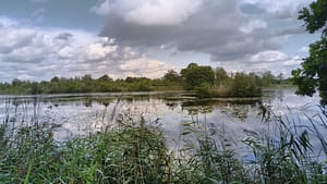 Weesp - Vreeswijk