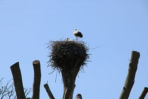 Driewegsluis - Blokzijl