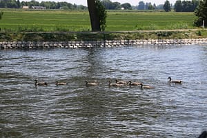Nieuwegein - Gorinchem