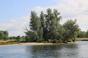 Gorinchem - Maasdriel