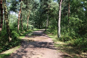 Venlo - Leukermeer