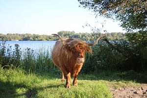 Amsterdam - Weesp