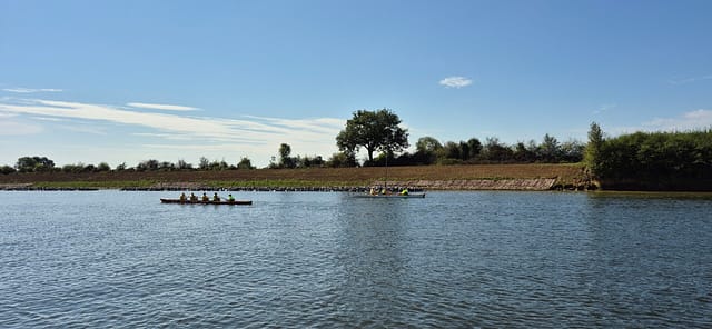 Rudern - In den Niederlanden ein Volkssport