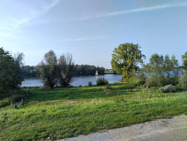 Auf der Maas wird oft gesegelt