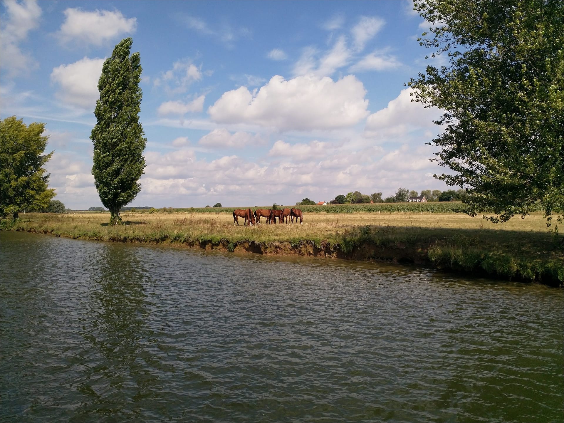 Plasmolen - Heusden