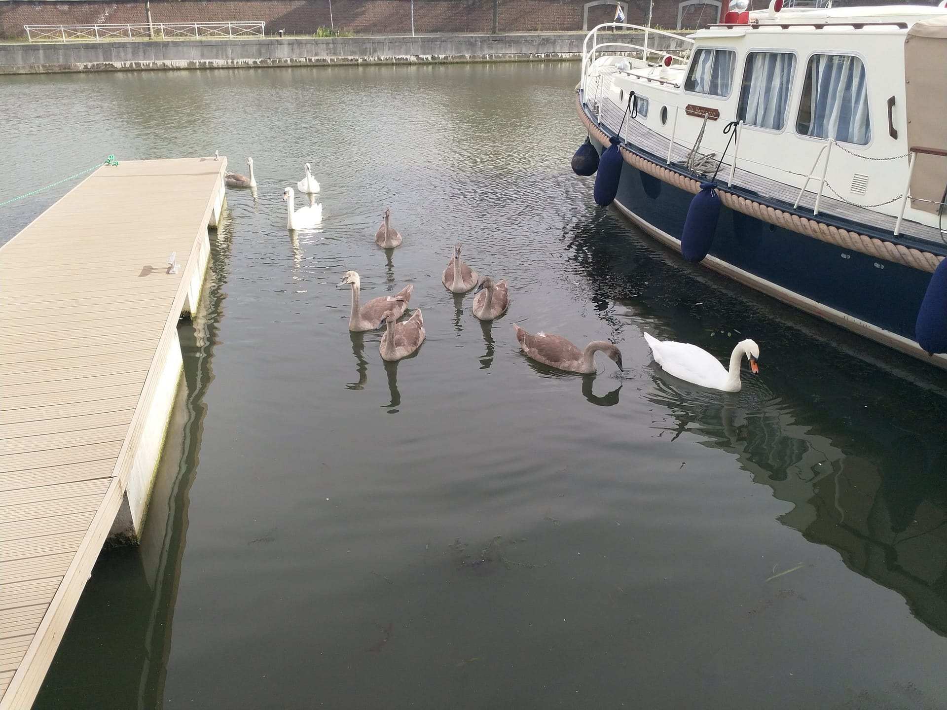 Maastricht - Eijsden (Jachthaven Portofino)